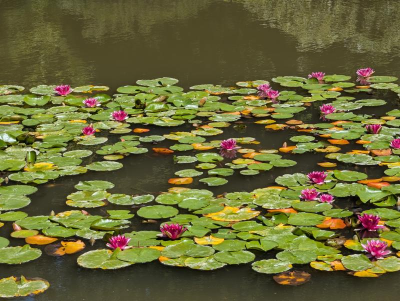 Featured image of post Hello, world!